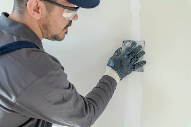Best Environmental Consulting for Mold Prevention  in Itta Bena, MS