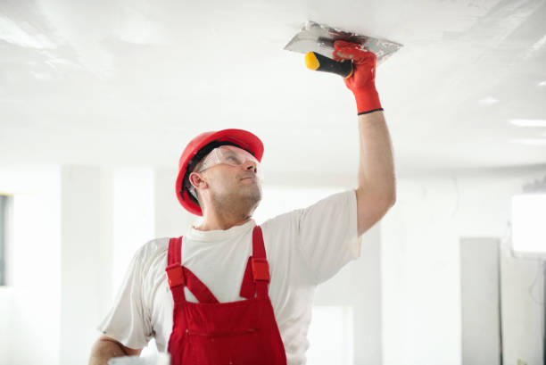 Best Attic Mold Removal  in Itta Bena, MS