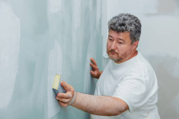 Best Mold Damage Restoration  in Itta Bena, MS