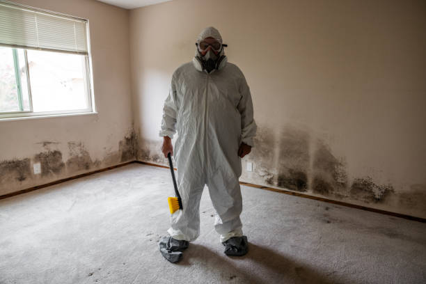 Best Mold Odor Removal Services  in Itta Bena, MS