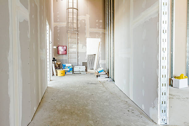 Professional Mold Removal in Itta Bena, MS
