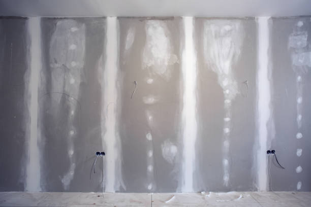 Best Commercial Mold Inspection  in Itta Bena, MS